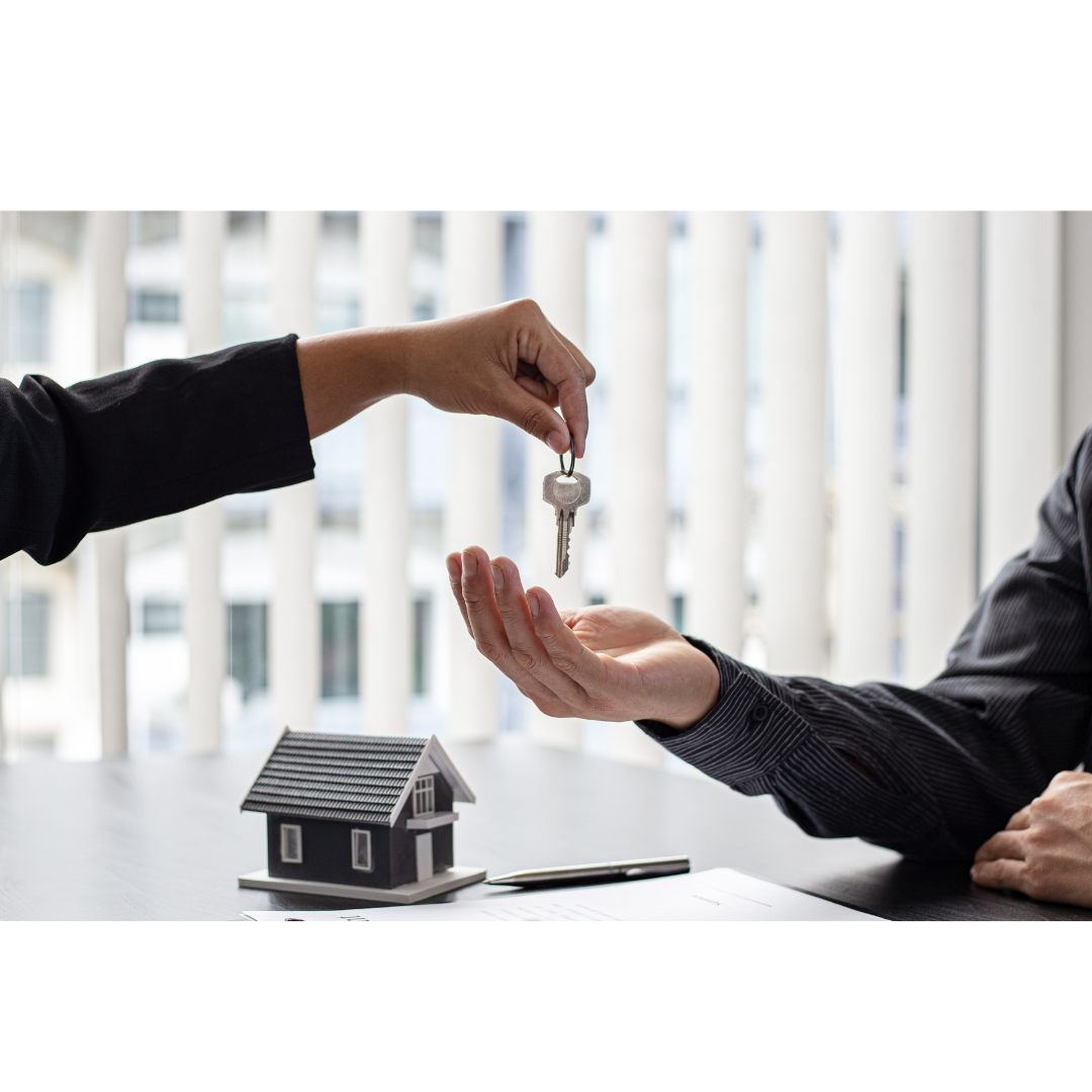 Développement Foncier